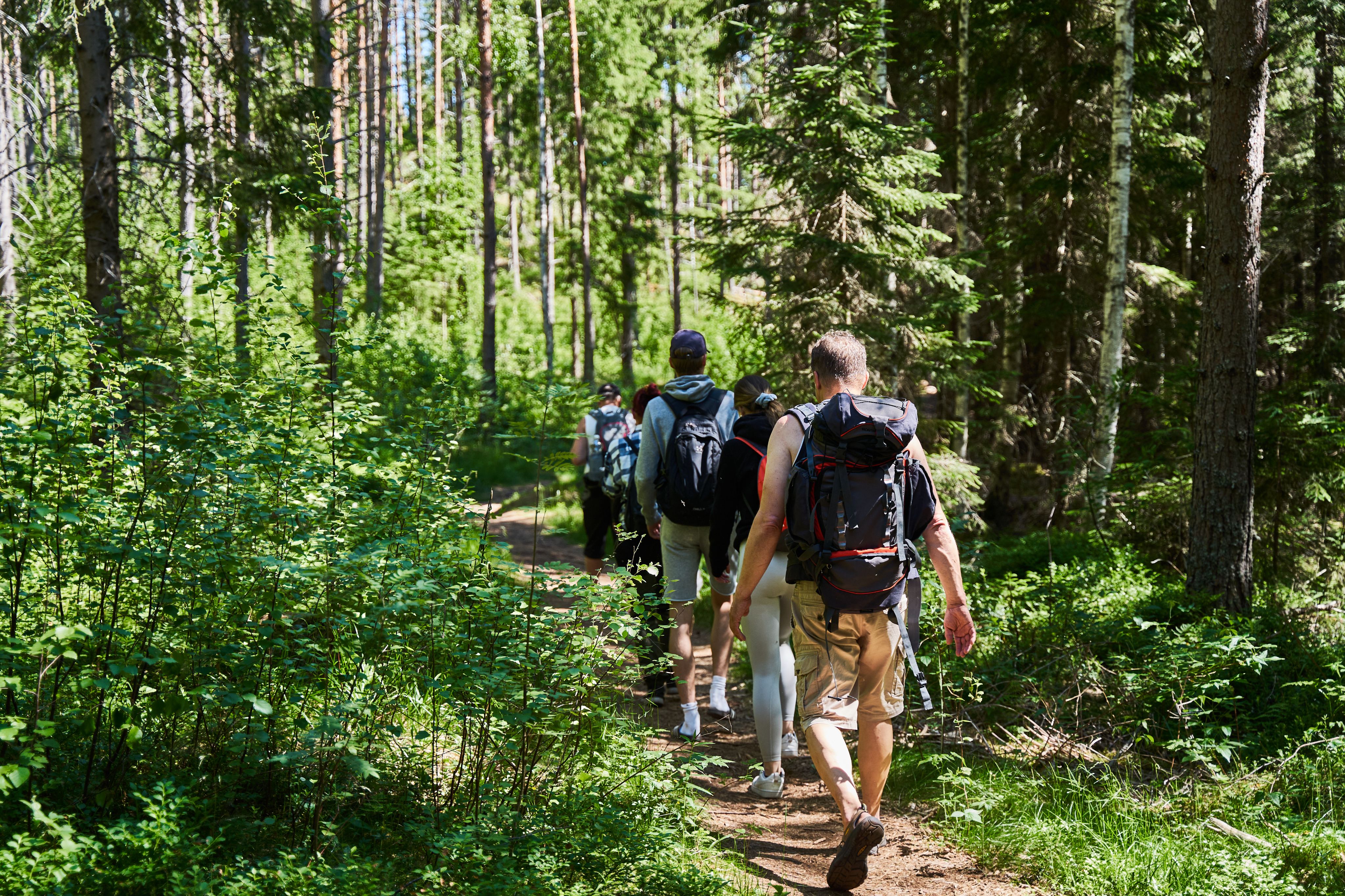 A group of people walking in the forest