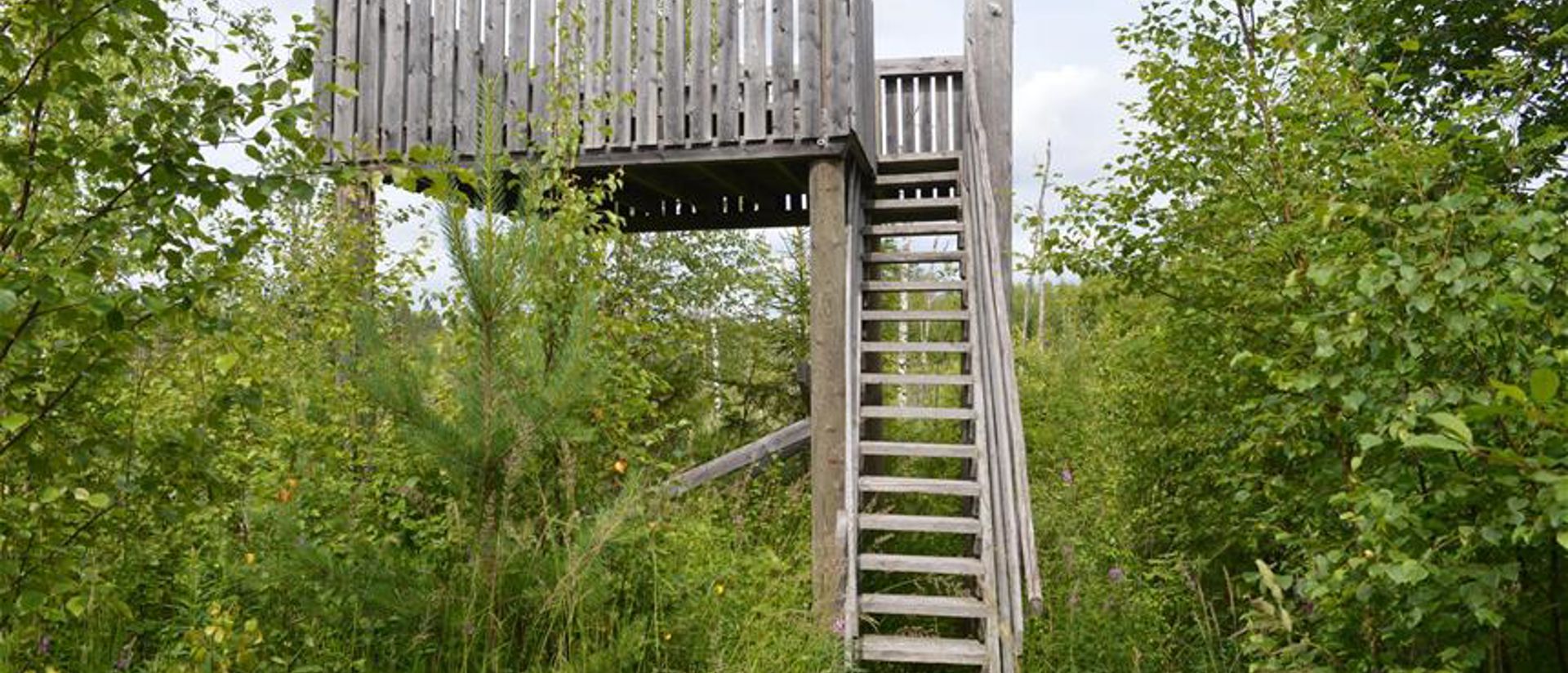 Torsanjoen luontopolun torni