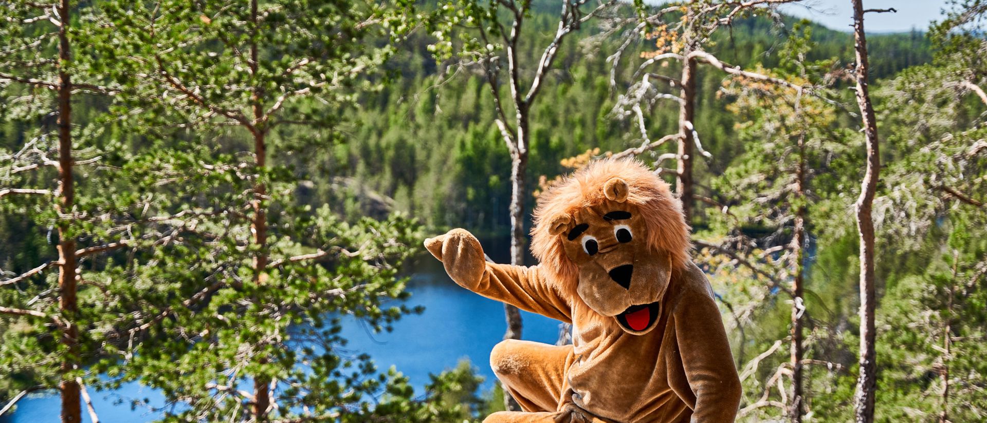 a lion greeting you at kummakivi hill