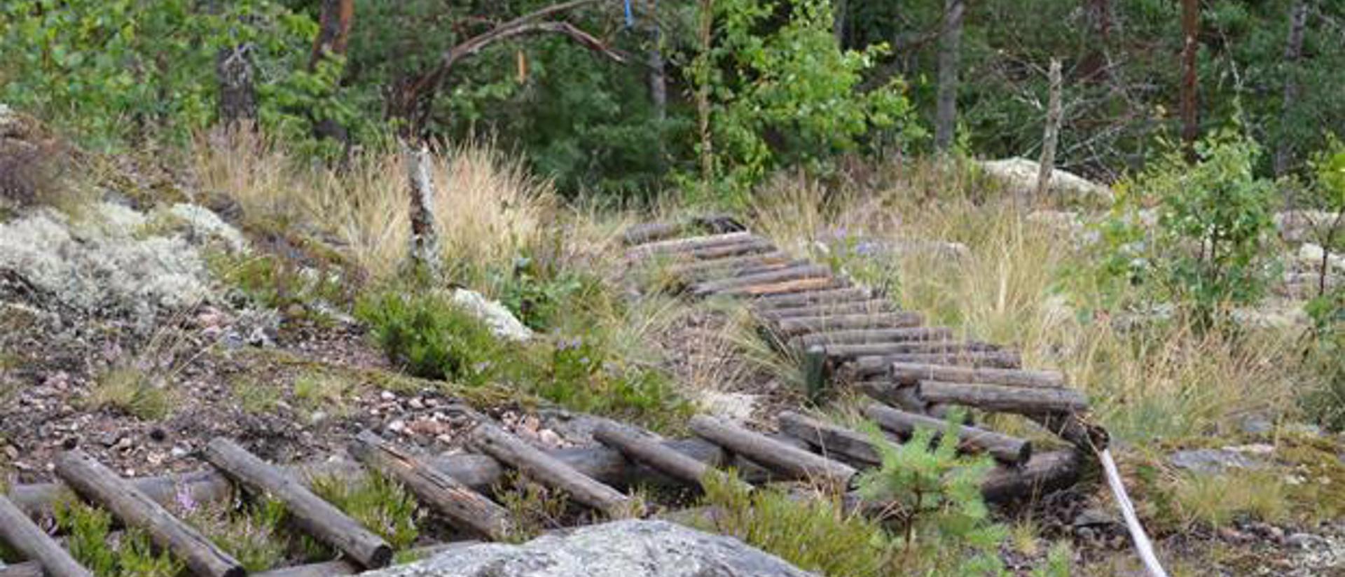 Wooden steps on Haukkavuori trail