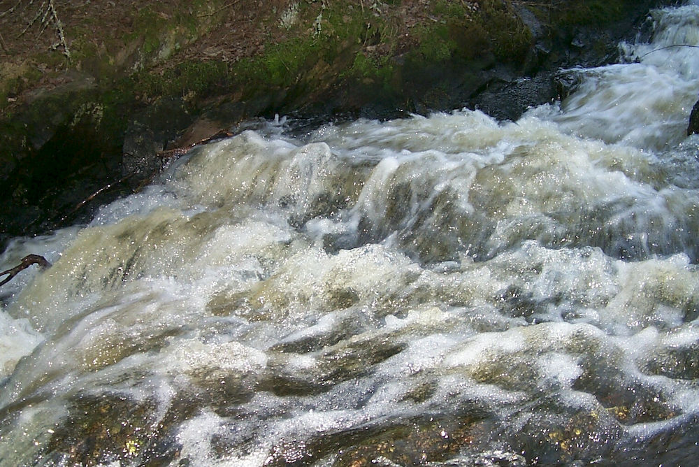 Mill Rapids