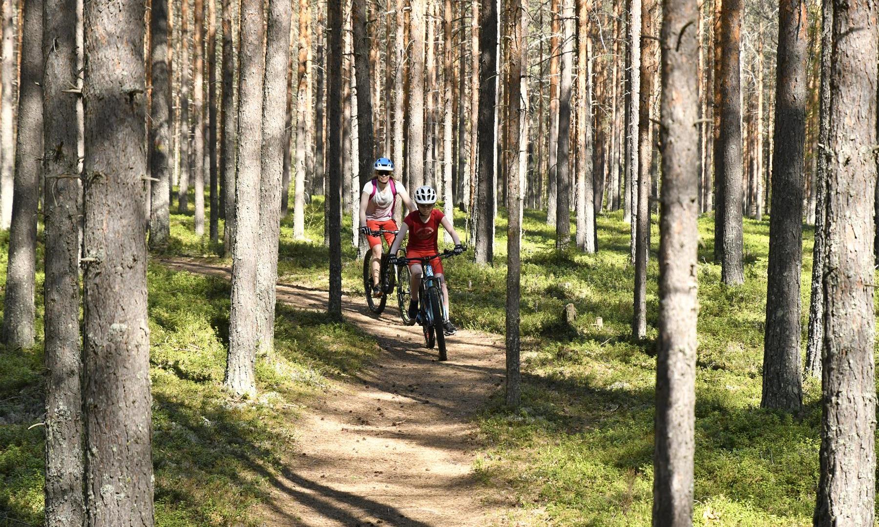 Pyöräilijät metsässä