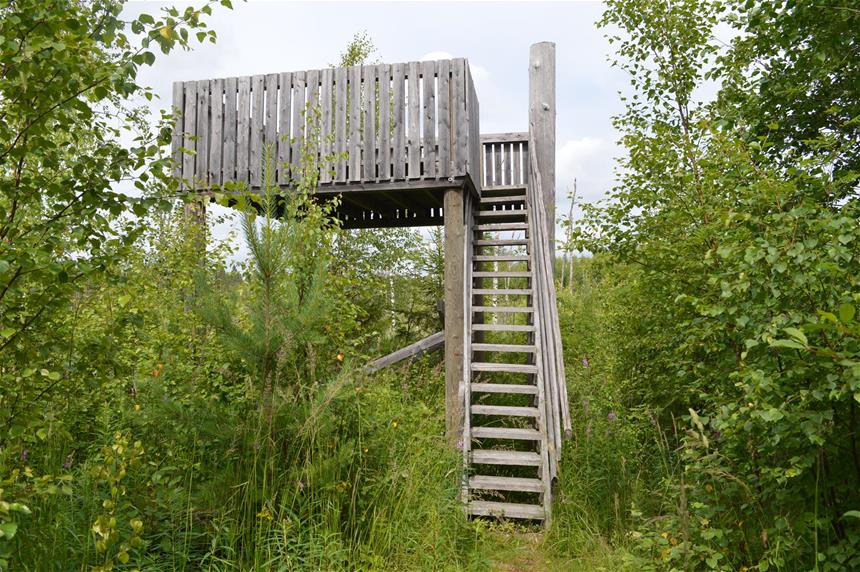 Torsanjoki nature trail