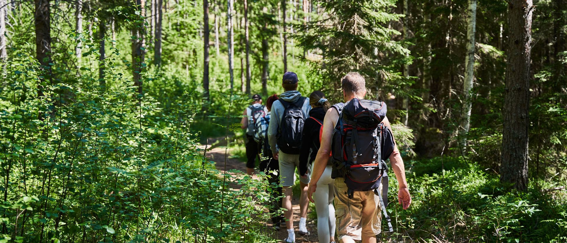 retkeilijät metsäpolulla